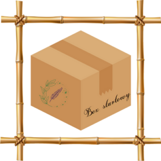 Pisarski box startowy